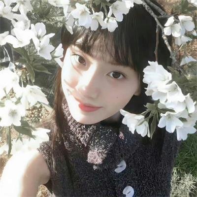了不起的甄高贵